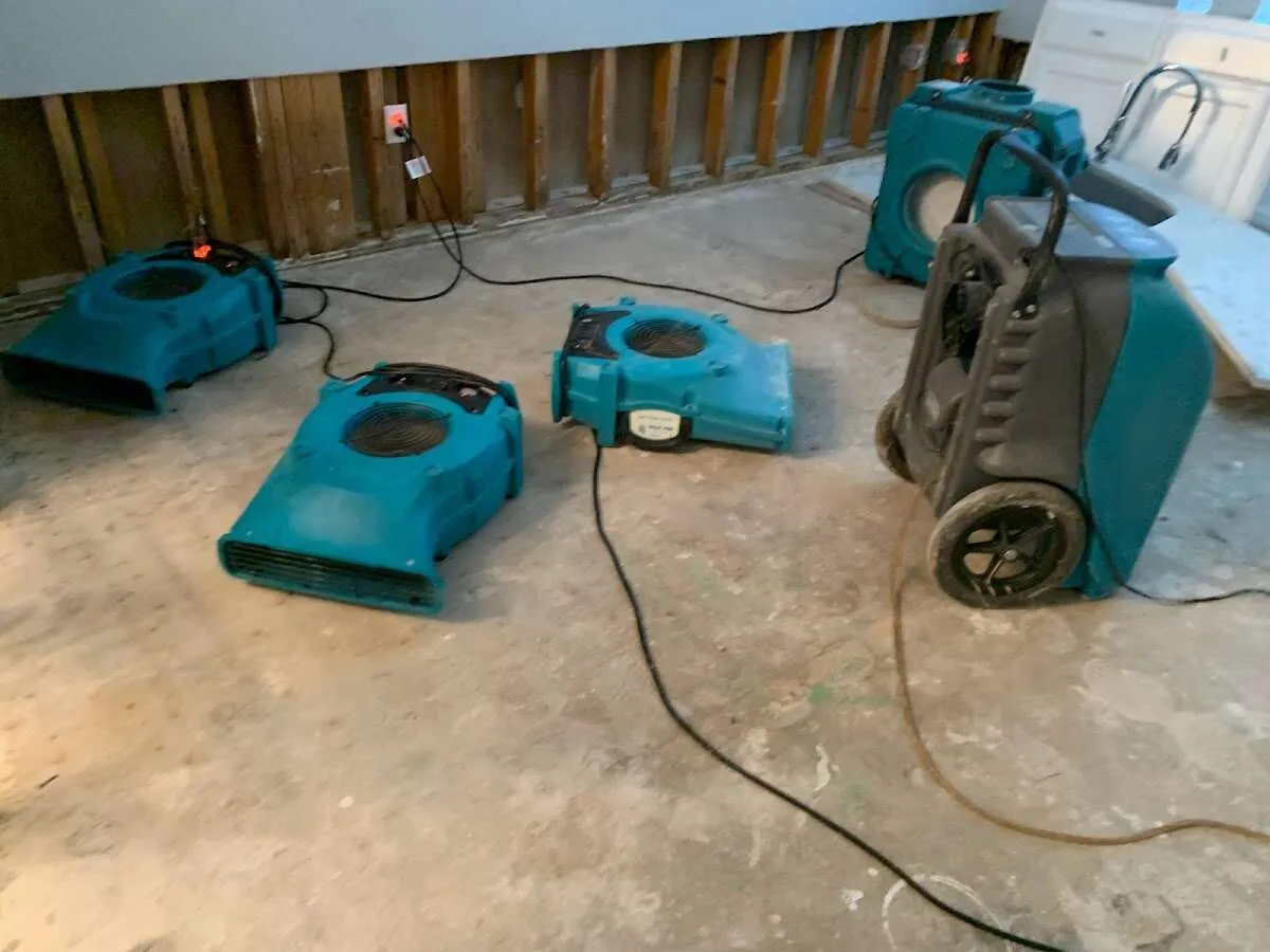 Water Damage Restoration services in Burlington, WA